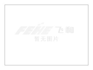 飛和將參加第四屆中國(guó)—亞歐博覽會(huì)